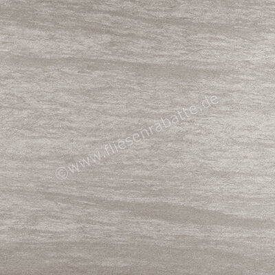  Coem Pietra Valmalenco Grigio 120x120 cm Bodenfliese / Wandfliese Matt Eben Naturale VM123R | 655175