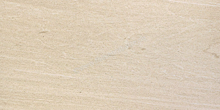  Coem Pietra Valmalenco Bianco 30x60 cm Bodenfliese / Wandfliese Matt Eben Naturale VM361R | 655187