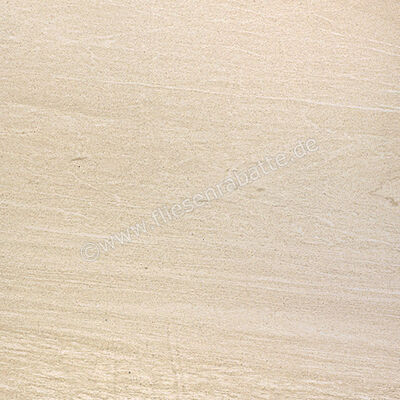  Coem Pietra Valmalenco Bianco 60x60 cm Bodenfliese / Wandfliese Matt Eben Naturale VM601R | 655235