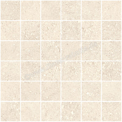  Sant Agostino Duo Back Desert 30x30 cm Mosaik 5x5 Matt Eben Naturale CSAMDBDE30 | 658186
