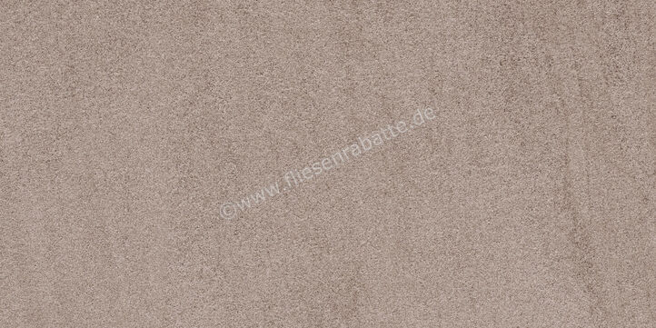  Sant Agostino Windstone Brown 60x120 cm Bodenfliese / Wandfliese Matt Eben Naturale CSAWISBR12 | 658675