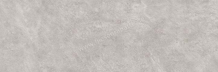 Steuler Kalmit Zement 40x120 cm Bodenfliese / Wandfliese Matt Eben Natural Y12955001 | 66040