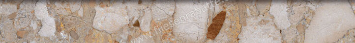  Sant Agostino Venistone Gold 7.3x60 cm Sockel Glänzend Eben Krystal CSABVEDK60 | 661561