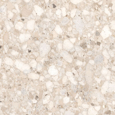  Sant Agostino Venistone Beige 120x120 cm Bodenfliese / Wandfliese Glänzend Eben Krystal CSAVBK1212 | 662383