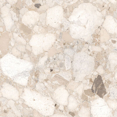  Sant Agostino Venistone Beige 60x60 cm Bodenfliese / Wandfliese Glänzend Eben Krystal CSAVBK6060 | 662452