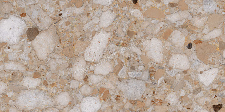  Sant Agostino Venistone Gold 60x120 cm Bodenfliese / Wandfliese Matt Eben Naturale CSAVEGLD60 | 662803