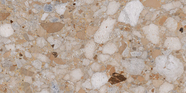  Sant Agostino Venistone Gold 60x120 cm Bodenfliese / Wandfliese Matt Eben Naturale CSAVEGLD60 | 662812