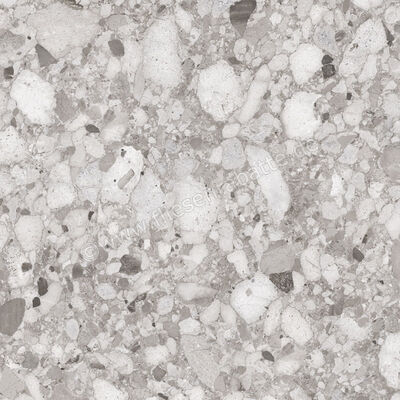  Sant Agostino Venistone Grey 120x120 cm Bodenfliese / Wandfliese Glänzend Eben Krystal CSAVGK1212 | 663058