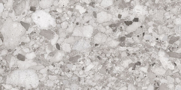 Sant Agostino Venistone Grey 60x120 cm Bodenfliese / Wandfliese Glänzend Eben Krystal CSAVGK6012 | 663079