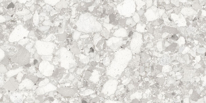  Sant Agostino Venistone Pearl 60x120 cm Bodenfliese / Wandfliese Glänzend Eben Krystal CSAVPK6012 | 663628