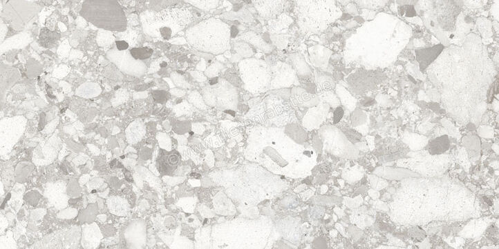  Sant Agostino Venistone Pearl 60x120 cm Bodenfliese / Wandfliese Glänzend Eben Krystal CSAVPK6012 | 663634