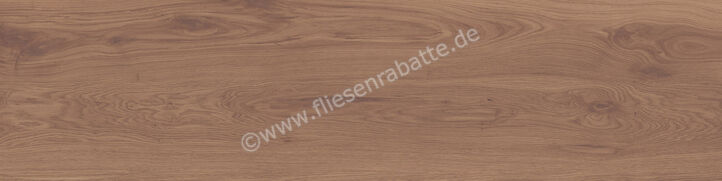  Marca Corona Elisir Bruno 20x120 cm Bodenfliese / Wandfliese Matt Eben Naturale I098 | 668647