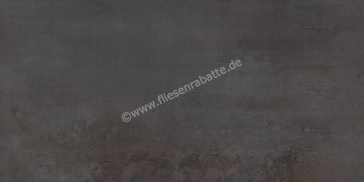 Steuler Thinactive Carbon 60x120 cm Bodenfliese / Wandfliese Matt Eben Natural Y13125001 | 67021