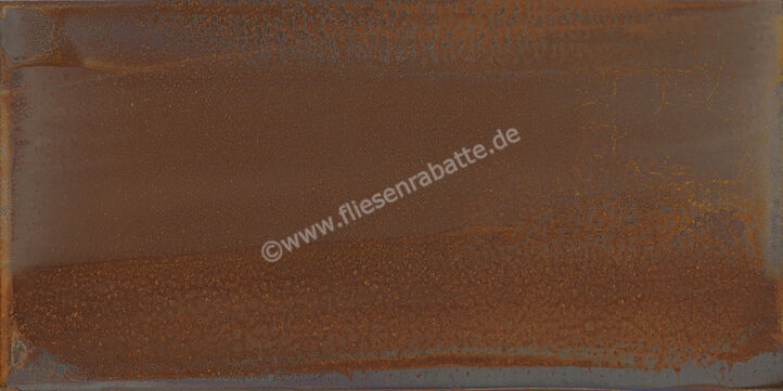 Steuler Thinactive Rust 60x120 cm Dekor Matt Eben Natural Y12126001 | 67063