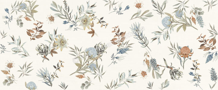  Marca Corona Mirabilia Mehrfarbig 50x120 cm Wandfliese Clorofilla Matt Eben Naturale J142 | 670933