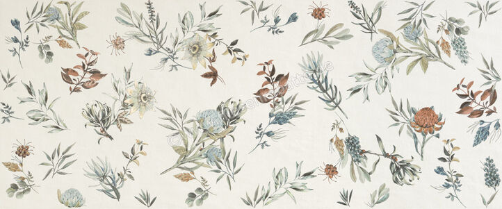  Marca Corona Mirabilia Mehrfarbig 50x120 cm Wandfliese Clorofilla Matt Eben Naturale J142 | 670936
