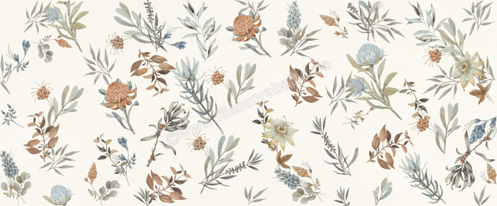  Marca Corona Mirabilia Mehrfarbig 50x120 cm Wandfliese Clorofilla Matt Eben Naturale J142 | 670939