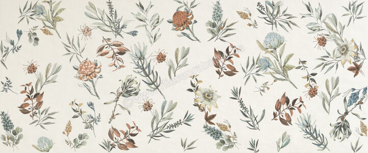  Marca Corona Mirabilia Mehrfarbig 50x120 cm Wandfliese Clorofilla Matt Eben Naturale J142 | 670942