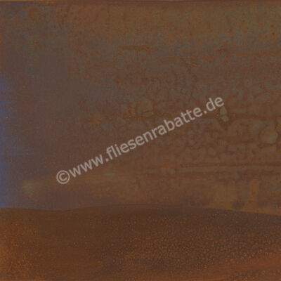 Steuler Thinactive Rust 60x60 cm Dekor Matt Eben Natural Y12128001 | 67159