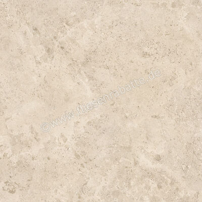  Ceramiche Caesar Hold Grain 60x60 cm Bodenfliese / Wandfliese Matt Eben Naturale AIZU | 671767