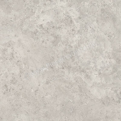  Ceramiche Caesar Hold Fade 60x60 cm Bodenfliese / Wandfliese Matt Eben Naturale AIZS | 671836