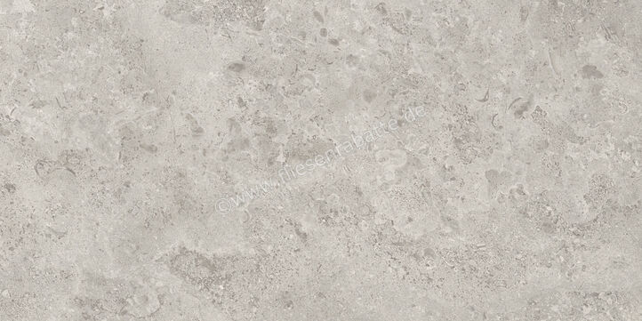  Ceramiche Caesar Hold Fade 30x60 cm Bodenfliese / Wandfliese Matt Eben Naturale AIZO | 671923