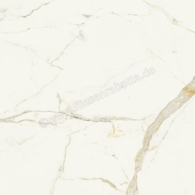  Marca Corona Scultorea Calacatta Oro Fino 120x120 cm Bodenfliese / Wandfliese Glänzend Eben Velvet J406 | 673357