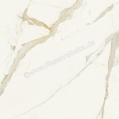  Marca Corona Scultorea Calacatta Oro Fino 120x120 cm Bodenfliese / Wandfliese Glänzend Eben Velvet J406 | 673360