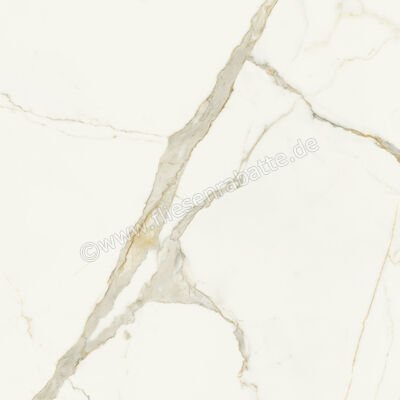  Marca Corona Scultorea Calacatta Oro Fino 120x120 cm Bodenfliese / Wandfliese Glänzend Eben Velvet J406 | 673369