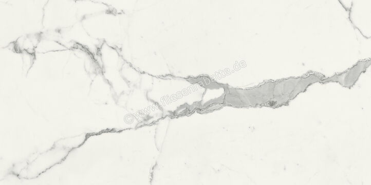  Marca Corona Scultorea Statuario Vena Argento 60x120 cm Bodenfliese / Wandfliese Matt Eben Naturale J396 | 674341
