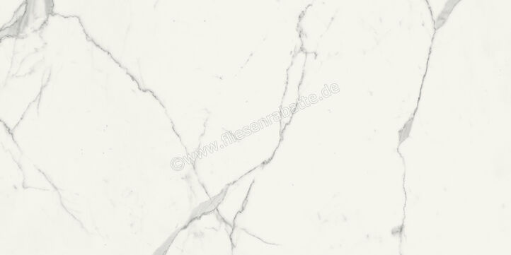  Marca Corona Scultorea Statuario Vena Argento 60x120 cm Bodenfliese / Wandfliese Glänzend Eben Velvet J402 | 674359
