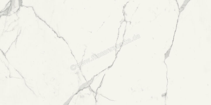  Marca Corona Scultorea Statuario Vena Argento 60x120 cm Bodenfliese / Wandfliese Glänzend Eben Reflex J441 | 674455