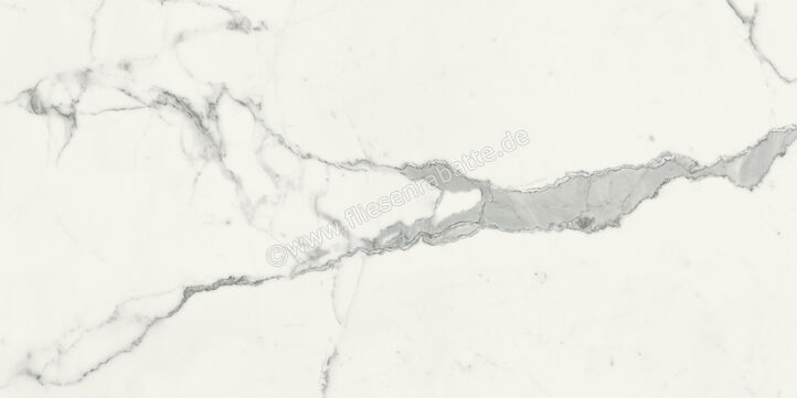  Marca Corona Scultorea Statuario Vena Argento 60x120 cm Bodenfliese / Wandfliese Glänzend Eben Reflex J441 | 674461