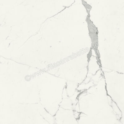  Marca Corona Scultorea Statuario Vena Argento 120x120 cm Bodenfliese / Wandfliese Glänzend Eben Reflex J447 | 674479
