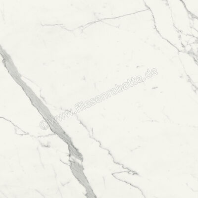  Marca Corona Scultorea Statuario Vena Argento 120x120 cm Bodenfliese / Wandfliese Glänzend Eben Reflex J447 | 674497