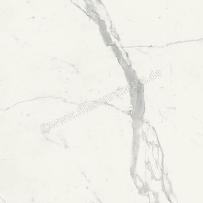  Marca Corona Scultorea Statuario Vena Argento 120x120 cm Bodenfliese / Wandfliese Glänzend Eben Velvet J452 | 674509