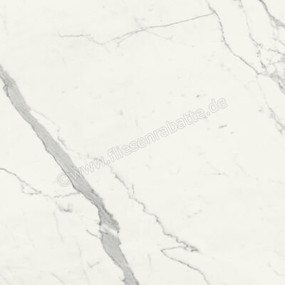  Marca Corona Scultorea Statuario Vena Argento 120x120 cm Bodenfliese / Wandfliese Glänzend Eben Velvet J452 | 674521