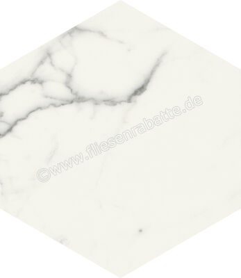  Marca Corona Scultorea Statuario Vena Argento 21.6x25 cm Bodenfliese / Wandfliese Esagona Matt Eben Naturale J469 | 674542