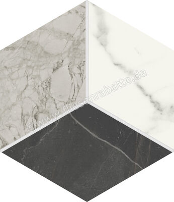  Marca Corona Scultorea Mix Cold 21.6x25 cm Bodenfliese / Wandfliese Esagona Mix Cold Matt Eben Naturale J561 | 674842