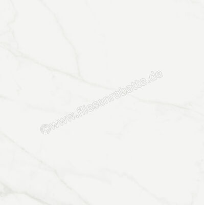  Marca Corona Scultorea Delicata Calacatta Velato 120x120 cm Bodenfliese / Wandfliese Glänzend Eben Reflex K213 | 675115