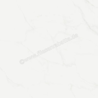  Marca Corona Scultorea Delicata Calacatta Velato 120x120 cm Bodenfliese / Wandfliese Glänzend Eben Velvet K217 | 675124