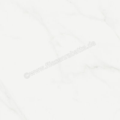  Marca Corona Scultorea Delicata Calacatta Velato 60x60 cm Bodenfliese / Wandfliese Matt Eben Naturale K233 | 675247
