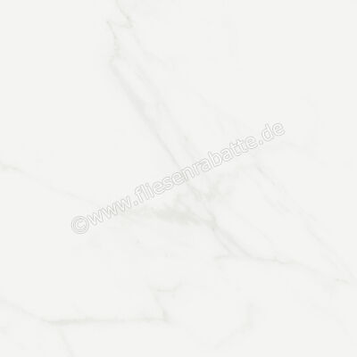  Marca Corona Scultorea Delicata Calacatta Velato 60x60 cm Bodenfliese / Wandfliese Matt Eben Naturale K233 | 675256