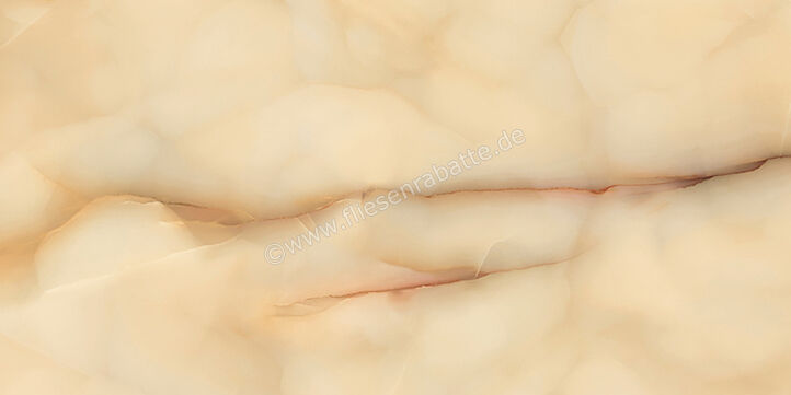  Emilceramica Tele Di Marmo Pure Onyx Onyx Miele 60x120 cm Bodenfliese / Wandfliese Matt Eben Silktech EMKF | 677035