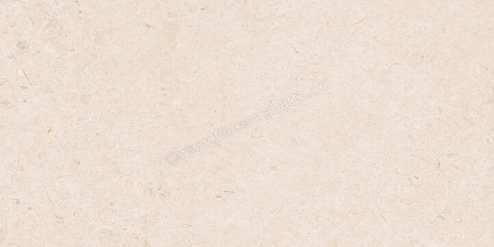  Ragno Eterna Blanco 60x120 cm Bodenfliese / Wandfliese Matt Eben Naturale R8JK | 680951