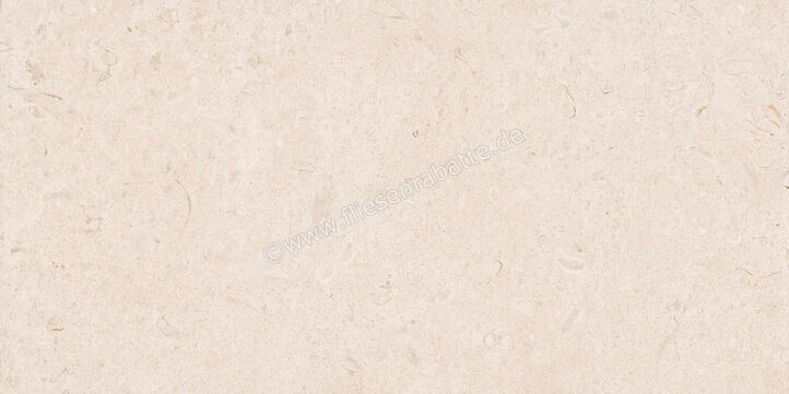  Ragno Eterna Blanco 60x120 cm Bodenfliese / Wandfliese Matt Eben Naturale R8JK | 680960