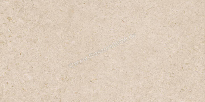  Ragno Eterna Arena 60x120 cm Bodenfliese / Wandfliese Matt Eben Naturale R8JL | 680975
