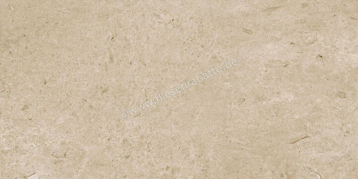 Ragno Eterna Greige 60x120 cm Bodenfliese / Wandfliese Matt Eben Naturale R8JM | 680990