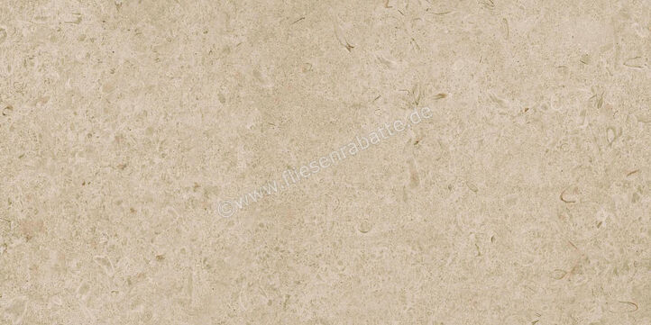  Ragno Eterna Greige 60x120 cm Bodenfliese / Wandfliese Matt Eben Naturale R8JM | 680993