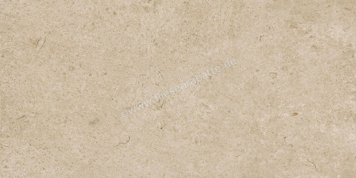 Ragno Eterna Greige 60x120 cm Bodenfliese / Wandfliese Matt Eben Naturale R8JM | 680996